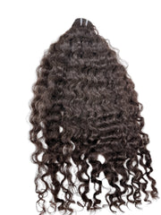 Burmese Curl